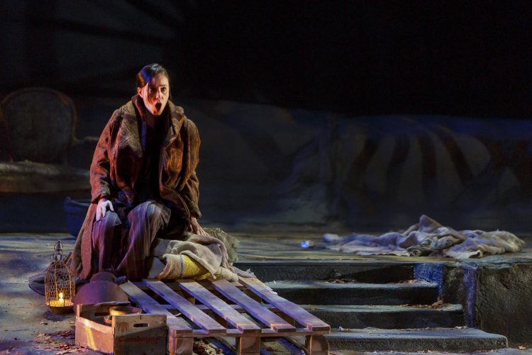 LA TRAGÉDIE DE CARMEN (2015) 04